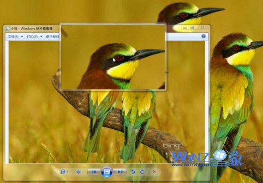 放大镜的镜头模式效果 放大镜的镜头模式效果