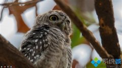 winxp系统四月更新后 1803任务栏全透明的恢复技巧? winxp系统四月更新后 1803任务栏全透明的恢复技巧?