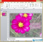 windows7ϵͳppTжĲٶȵĲ?